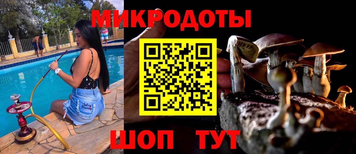 купить   Вход с VPN  Псилоцибиновые грибы Psilocybe  Нефтекамск  Псилоцибиновые грибы Magic Shrooms 